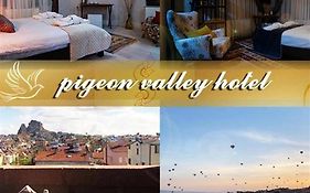 Pigeon Valley Stone House